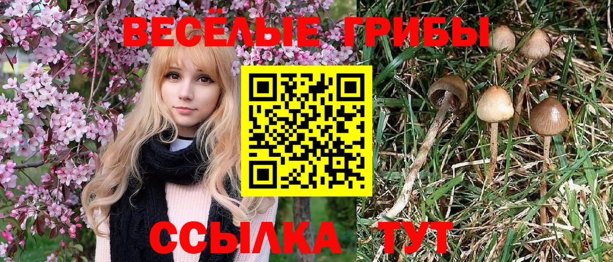 Галлюциногенные грибы MAGIC MUSHROOMS Богородицк