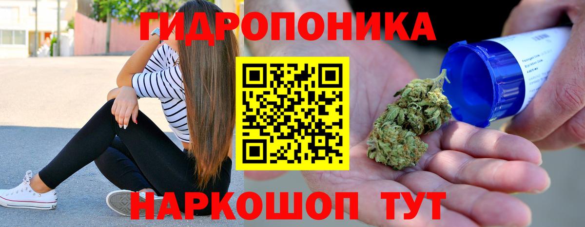 Канабис сатива Богородицк